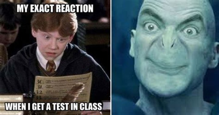 harry potter spells meme, latest free online harry potter movies, best HD videos you should watch in 2022 – 2023