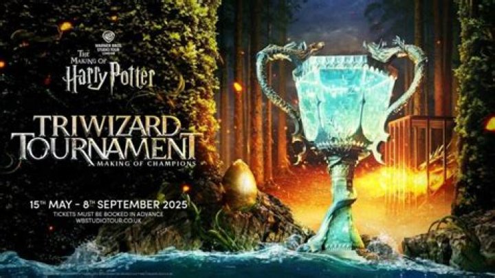 harry potter tournament of houses twitter, latest free online harry potter movies, best HD videos you should watch in 2022 – 2023