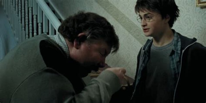 harry potter uncle vernon death, latest free online harry potter movies, best HD videos you should watch in 2022 – 2023