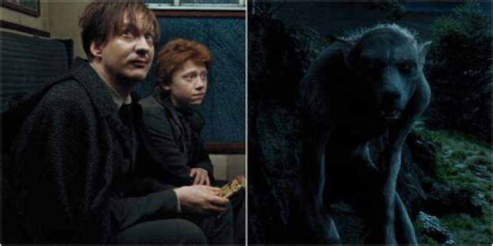 harry potter uncle wolf, latest free online harry potter movies, best HD videos you should watch in 2022 – 2023