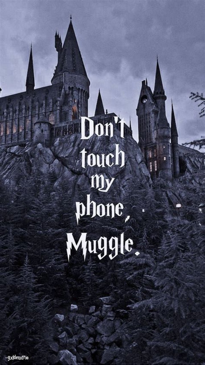 harry potter wallpaper dont touch my phone muggle, latest free online harry potter movies, best HD videos you should watch in 2022 – 2023