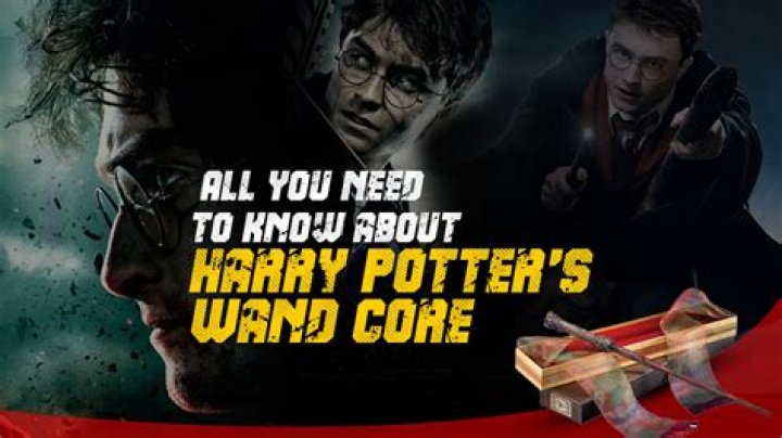 harry potter wand core quiz, latest free online harry potter movies, best HD videos you should watch in 2022 – 2023