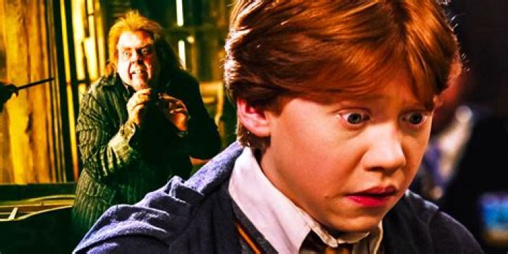 harry potter wiki peter pettigrew, latest free online harry potter movies, best HD videos you should watch in 2022 – 2023